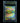פיקאצ'ו ex RR — קלף פוקימון מדורג BGS 9.5 | TCG Israel