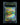 פיקאצ'ו ex RR — קלף פוקימון מדורג BGS 9.5 | TCG Israel