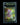 מיו ex UR — קלף פוקימון מדורג BGS 9.5 | TCG Israel