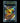 צ'ריזארד ex RR — קלף פוקימון מדורג BGS 9.5 | TCG Israel