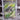 פוקימון Pokémon – Durant EX דוראנט EX – Super Electric Breaker Japanese – Beckett 9.5